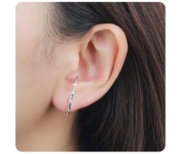 Pretty Unique Shaped CZ Crystal Silver Stud Earring HO-2473